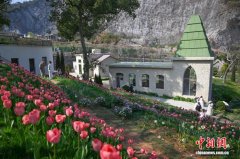 江南春日 浙江杭州唯美花境醉游人